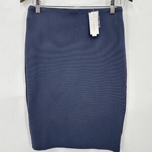 ☀️Premise Studio High Waisted Pencil Skirt Slate Gray Women's Petite Size 10P